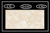 High Grade Marble  Floor  Tile with Best Price