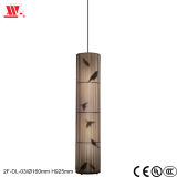 Modern Steel Pendant Lamp 2f-Dl-03