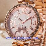 Custom Watches Stainless Steel Ladies Wrist Watch (WY-G17004A)