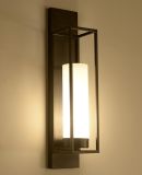 Metal Glass Wall Lamp (WHW-088)