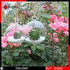 Hanging Clear Flat-Bottomeddia 8 Cm Crystal Glass Vase Flower Balls Terrarium Decoratives Vases