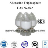Adenosine Triphosphate CAS 56-65-5 Adenosine-5-Triphosphoric Acid (ATP) Pure