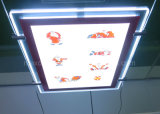 Window Display Magnetic Open LED Slim Light Box (CDH03-A4P-07)