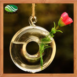 Hanging Round Glass Vase for Home Decoration