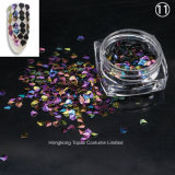 Mixed Nail Glitter Powder Sequins Shinning Colorful Nail Flakes 3D DIY Charm Glitter for Nail Art Decorations (NR-07)