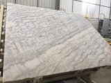 Hot Popular Honed White Natural Marble Stone