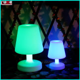 LED Mood Light with Remote Control Dimmable Lighting