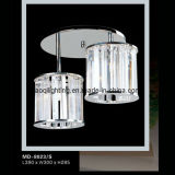 2011 Modern Decorative Ceiling Lamp (MD-8023/S)