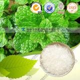 Natural High Quality Peppermint Extract Menthol