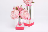 Rose Pink and Clear Translucent Acrylic Tall Vase