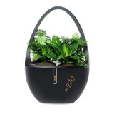 Plant-Based Air Purifier with Aroma Crystal and Negative Ions