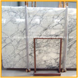 Polished Italy Arabescato White Marble Slabs for Countertops, Tiles, Wall