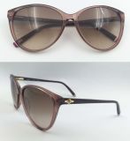 New Crystal Brown Acetate Color with New Shape Sunglasses for Lady