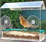Window Acrylic Wild Bird Feeder with Suction Cups