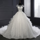 Short Sleeve Lace Organza Ball Bridal Gown