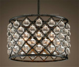 Phine Decoration Fashion Pendant Lamp Interior Lighting with Crystal