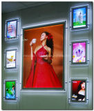 Picture Display LED Advertising Light Box (CSH)