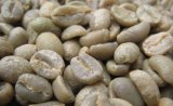 50%Chlorogenic Acid Green Coffee Bean Extract