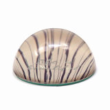 Creative Decorating Round Glass Photo Paperweight Hx-8363