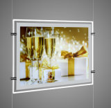 Cable Hanging Light Box for Window Displays