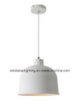 Metal Pendant Lamp (WHP-705)