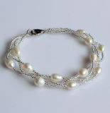 Fashion Cultured Freshwater Pearl Bracelet (EB1537-1)