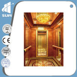 800kg Load Stable and Standard Residential Passenger Elevator
