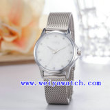 Watch Customize Stainless Steel Ladies Watches (WY-027B)