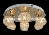 2016 Newest Crystal LED Indoor Chandelier Light & Ceiling Lamp