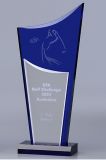 Acrylic Awards/Trophies/ Plaques for Sports or Business/Souvenir/Promotion Gift/Ceremonies/A126