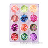 Festival Decorative Nail Crystal Rhinestones Set Multi-Size Sharp Bottom Mixed Color Nail Art for Manicure DIY (NR-02)