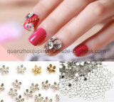 Custom DIY Nail Beauty Art for Accessories Decoration