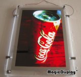 Acrylic Light Box (MDCLB)