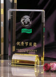 2017 China Style Hot Sales Personalized Crystal Achievement Shield Trophy Award