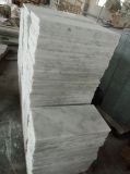 Popular White Marble 24X24 White Marble Tiles for Interior Projects