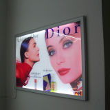China Wholesale Snap Frame for Picture Frame Advertising Display LED Light Box