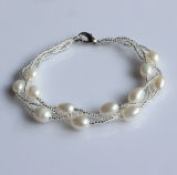 Fashion Freshwater Pearl Jewelry Bracelet (EB1532-1)