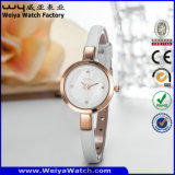 ODM Fashion Leather Strap Quartz Ladies Wrist Watches (Wy-074C)