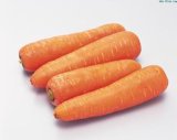Manufacture 100% Natural Carrot Powder Extract