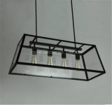 Best Selling Fashion Pendant Lighting with Ironware