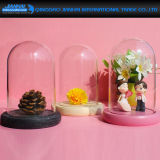 Three Color Wooden Base Glass Cover for Home Decoration