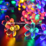 LED Christmas Light RGB Light Sakura Shaped String Light (AC220V) EU Standard