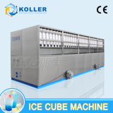 10 Tons High Capacity Ice Cube Machine for Ice Plant