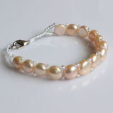 Fashion Nature Freshwater Pearl Bracelet (EB1527-1)