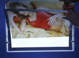 Double Faces Magnetic Open LED Acrylic Light Box for Advertising