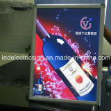 Wall Mounted Acrylic Sheet LED Light Box for Advertising Display