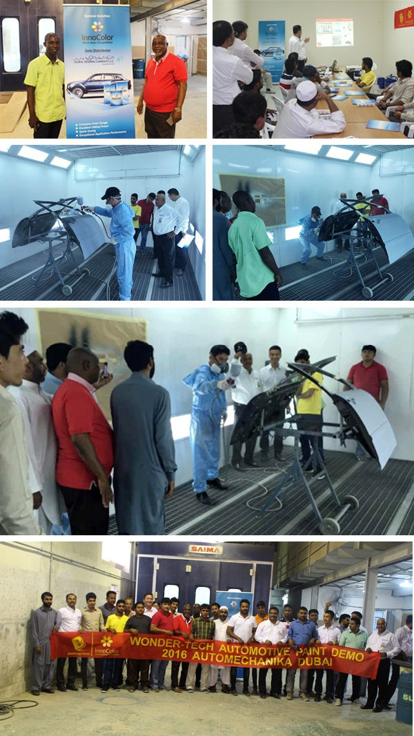 China Xirallic Pearl Crystal 1k Colors Auto Paint Details China