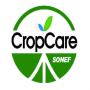 Qingdao Sonef Chemical Company Limited