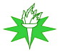 Shanghai Star Trend Enterprise Co., Ltd.