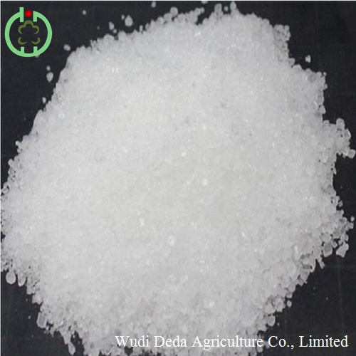 DCP Feed Additives for Sale